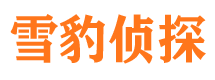 伊吾找人公司